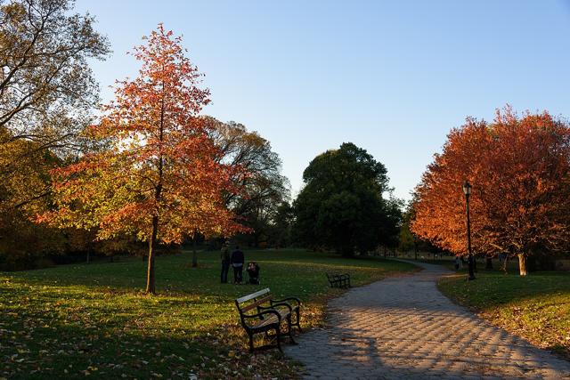 Prospect Park